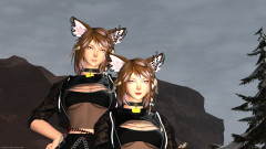 Contact and Music :: Update